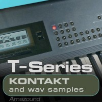 T-Series - Kontakt Samples
